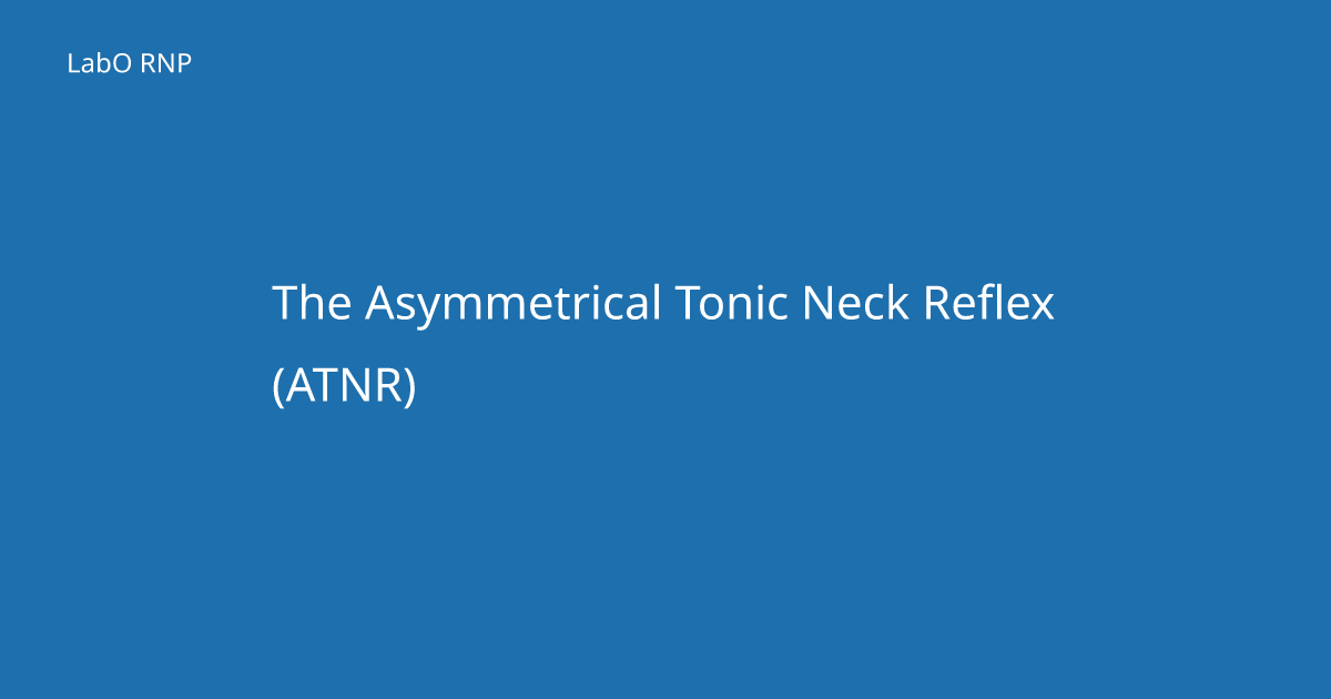 Asymmetric tonic neck reflex (ATNR): guide | LabO RNP