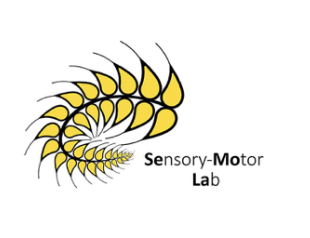 sensory motor lab